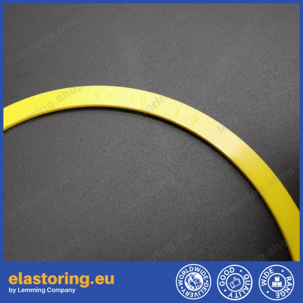 Back up ring RAE 15,54x2,62 L1 [2ERAE137]